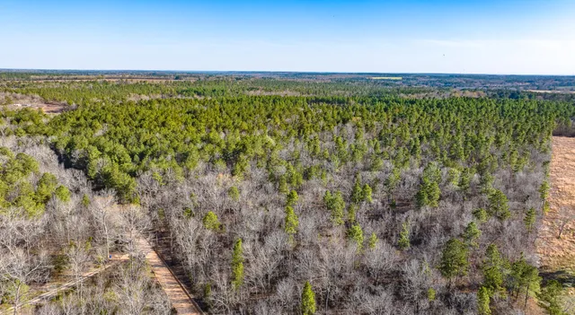 $142,000 | Lot 14 Bluffwood Road, Wagener, SC 29164