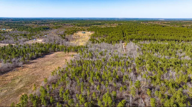 $142,000 | Lot 14 Bluffwood Road, Wagener, SC 29164