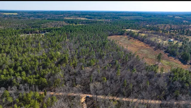 $142,000 | Lot 14 Bluffwood Road, Wagener, SC 29164