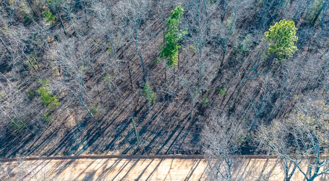 $142,000 | Lot 14 Bluffwood Road, Wagener, SC 29164