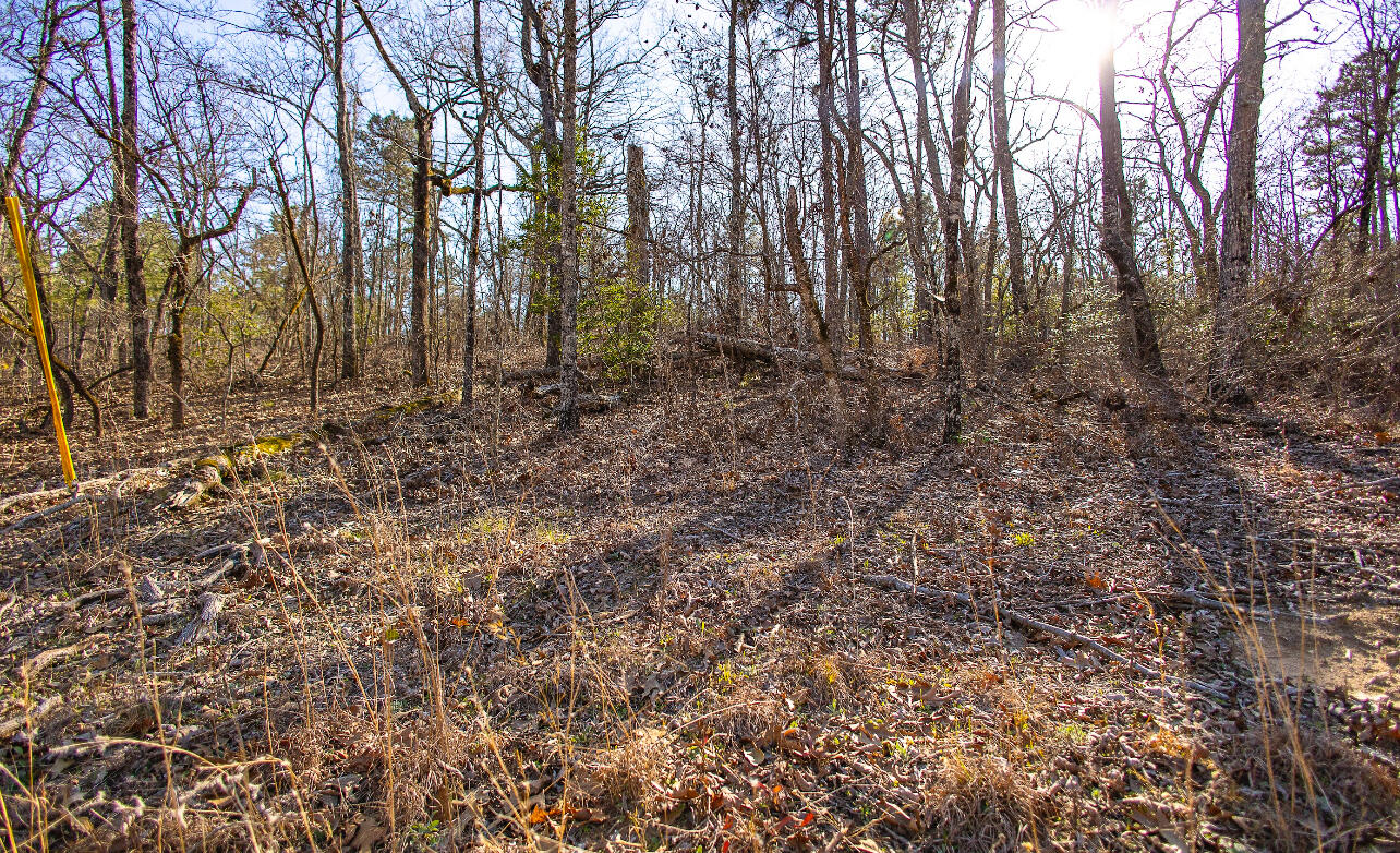 Lot 14 Bluffwood Road Wagener, SC 29164 - Photo 8 of 10 IMG_3848