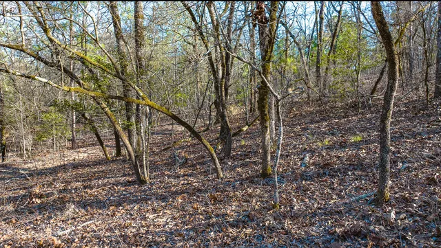 $142,000 | Lot 14 Bluffwood Road, Wagener, SC 29164