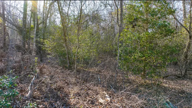 $142,000 | Lot 14 Bluffwood Road, Wagener, SC 29164