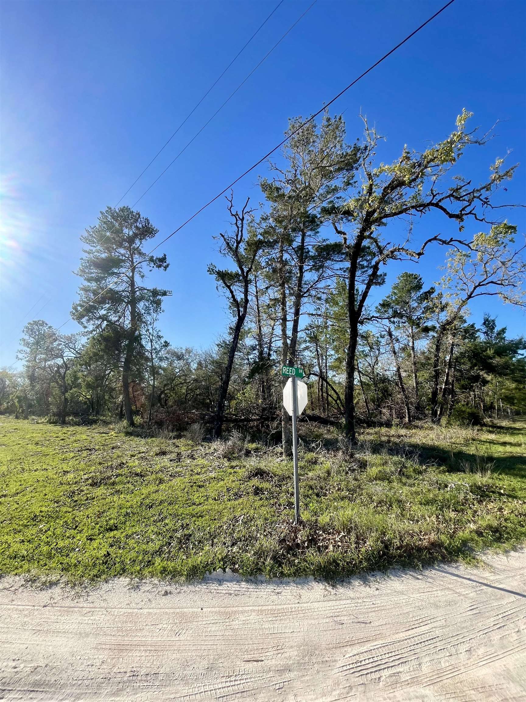 0 Reed Drive Perry, FL 32348 - Photo 5 of 6 Gallery Image 5