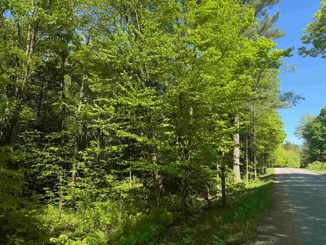 $95,000 | Tbd Plot Road, Johnson, VT 05656