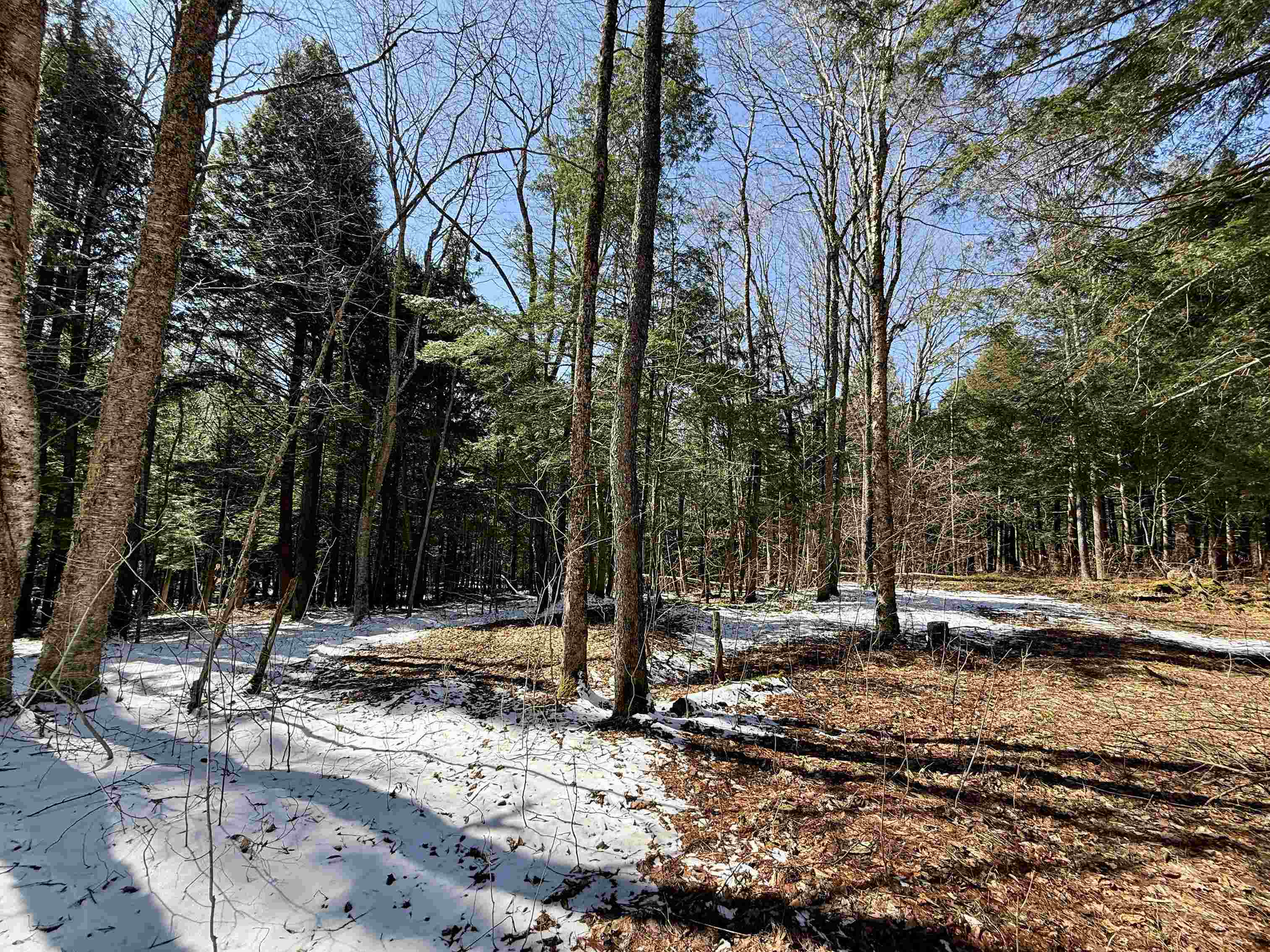Tbd Plot Road Johnson, VT 05656 - Photo 11 of 24