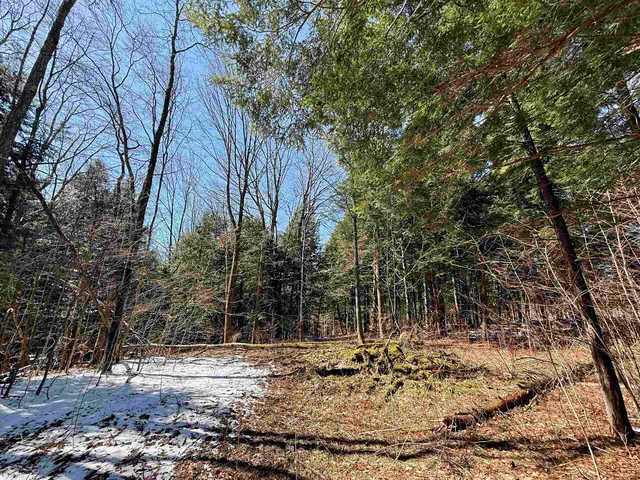 $95,000 | Tbd Plot Road, Johnson, VT 05656