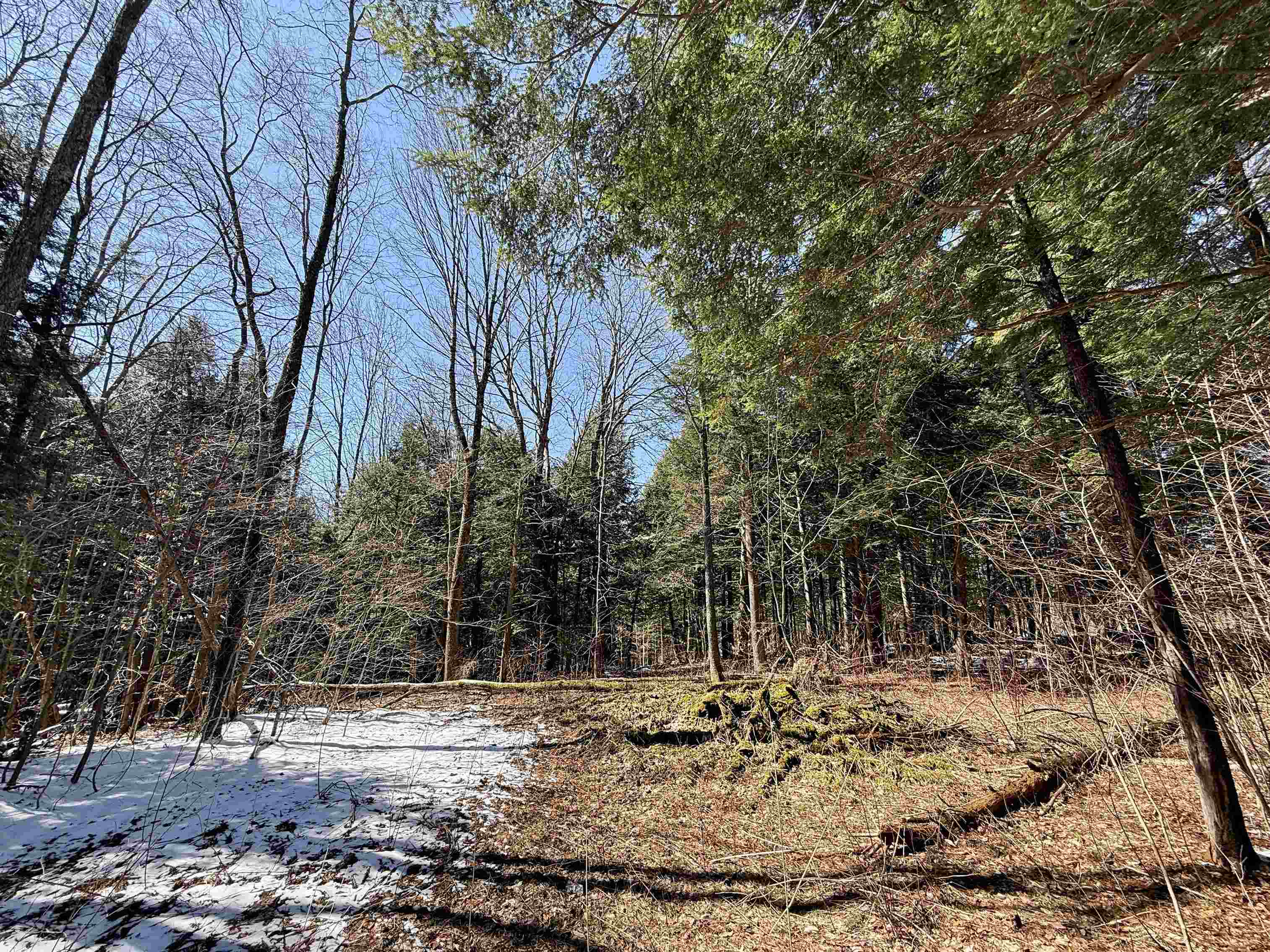 Tbd Plot Road Johnson, VT 05656 - Photo 12 of 24