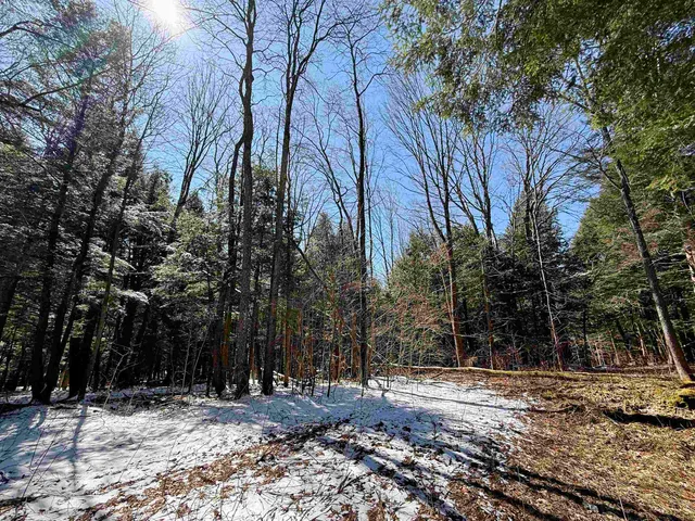 $95,000 | Tbd Plot Road, Johnson, VT 05656