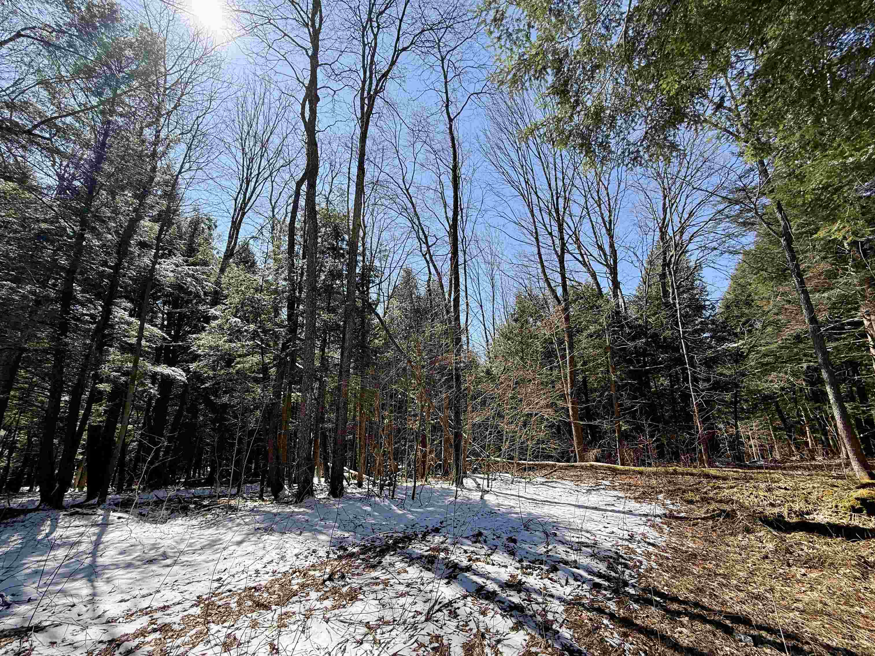 Tbd Plot Road Johnson, VT 05656 - Photo 13 of 24