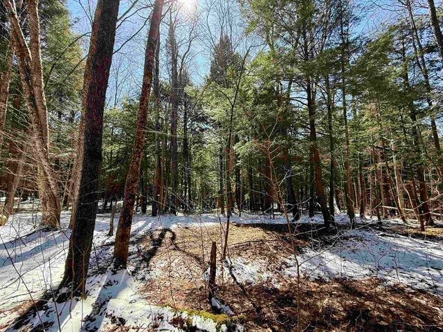 $95,000 | Tbd Plot Road, Johnson, VT 05656