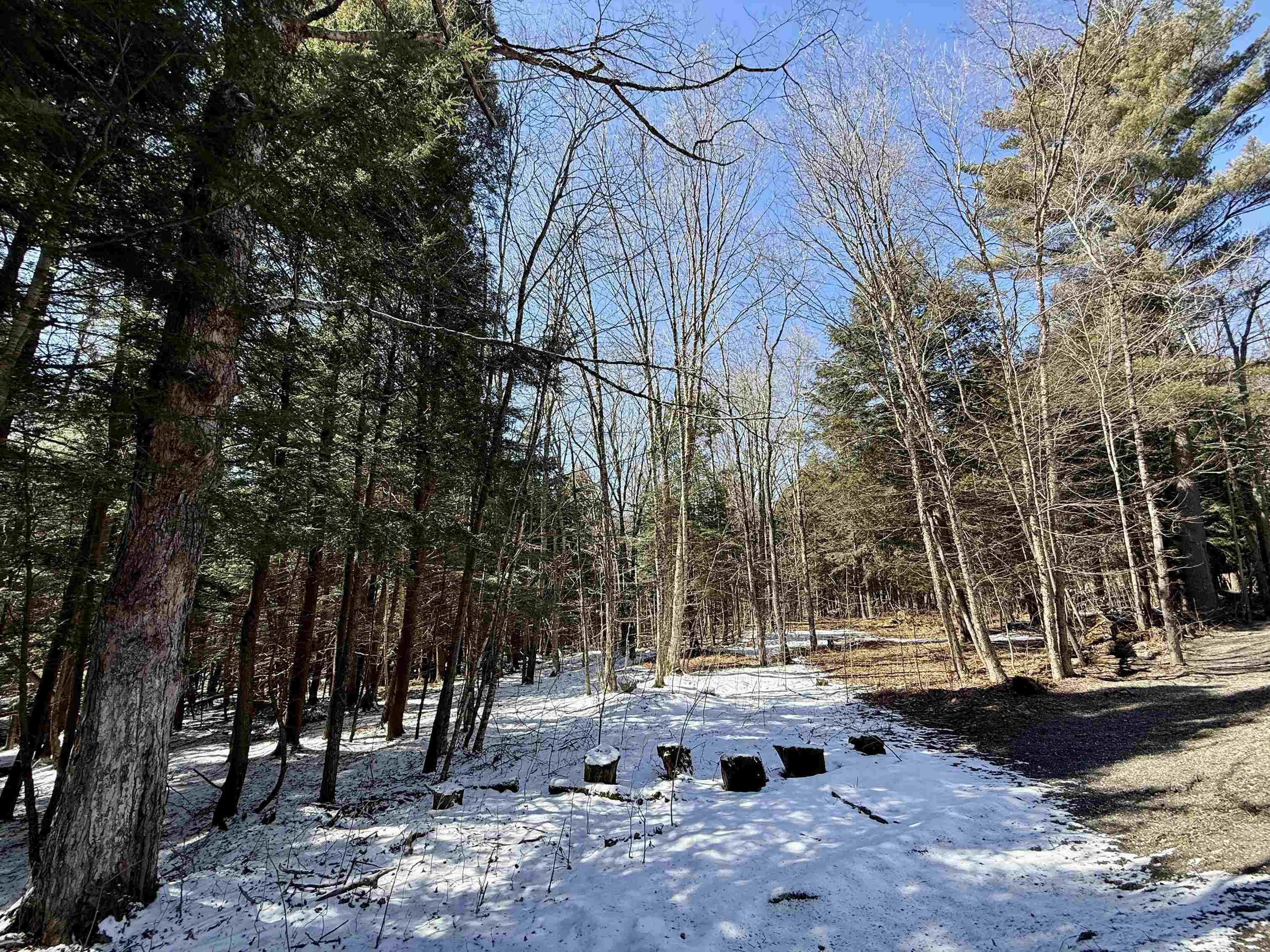 Tbd Plot Road Johnson, VT 05656 - Photo 15 of 24