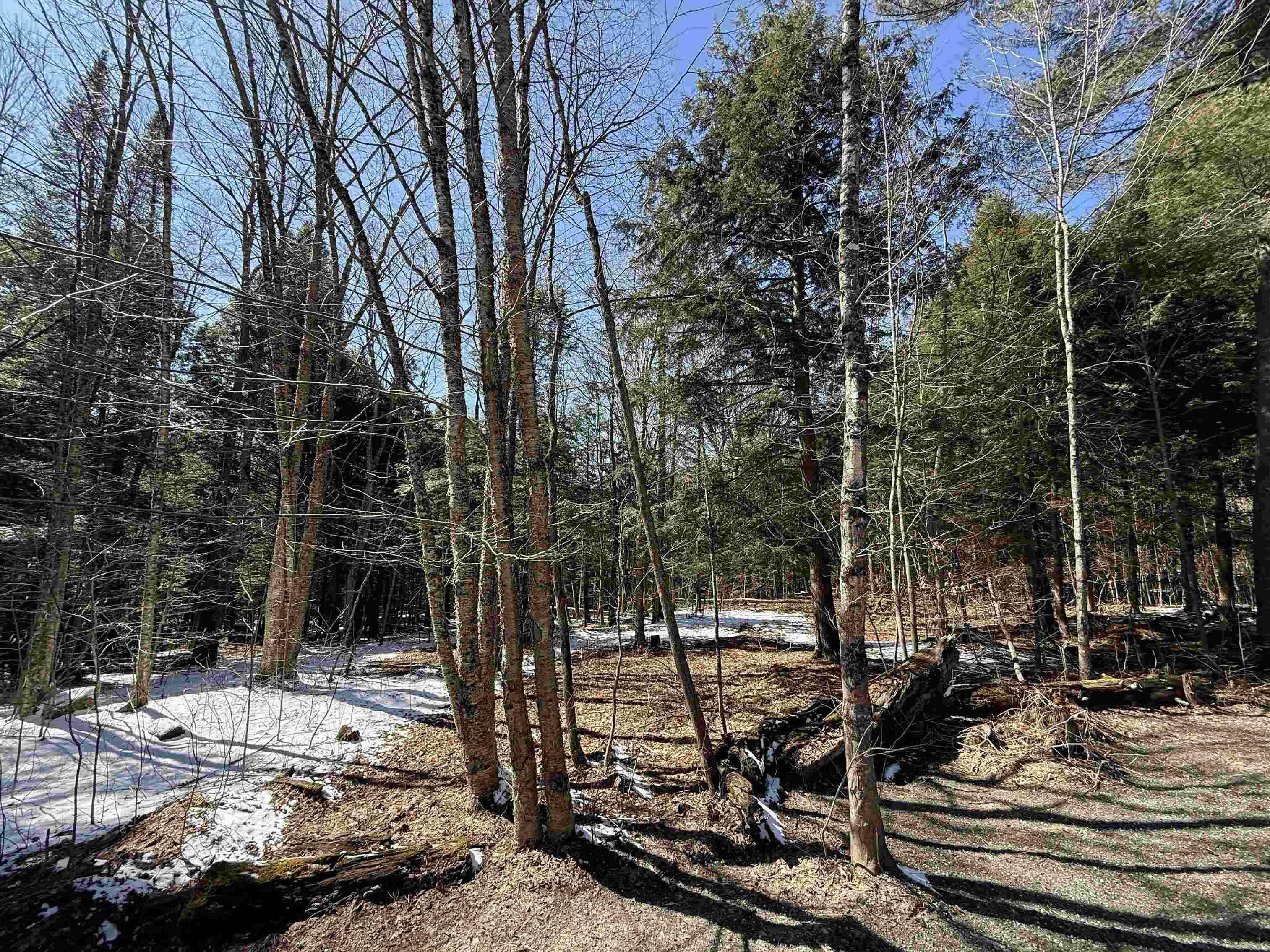 Tbd Plot Road Johnson, VT 05656 - Photo 17 of 24