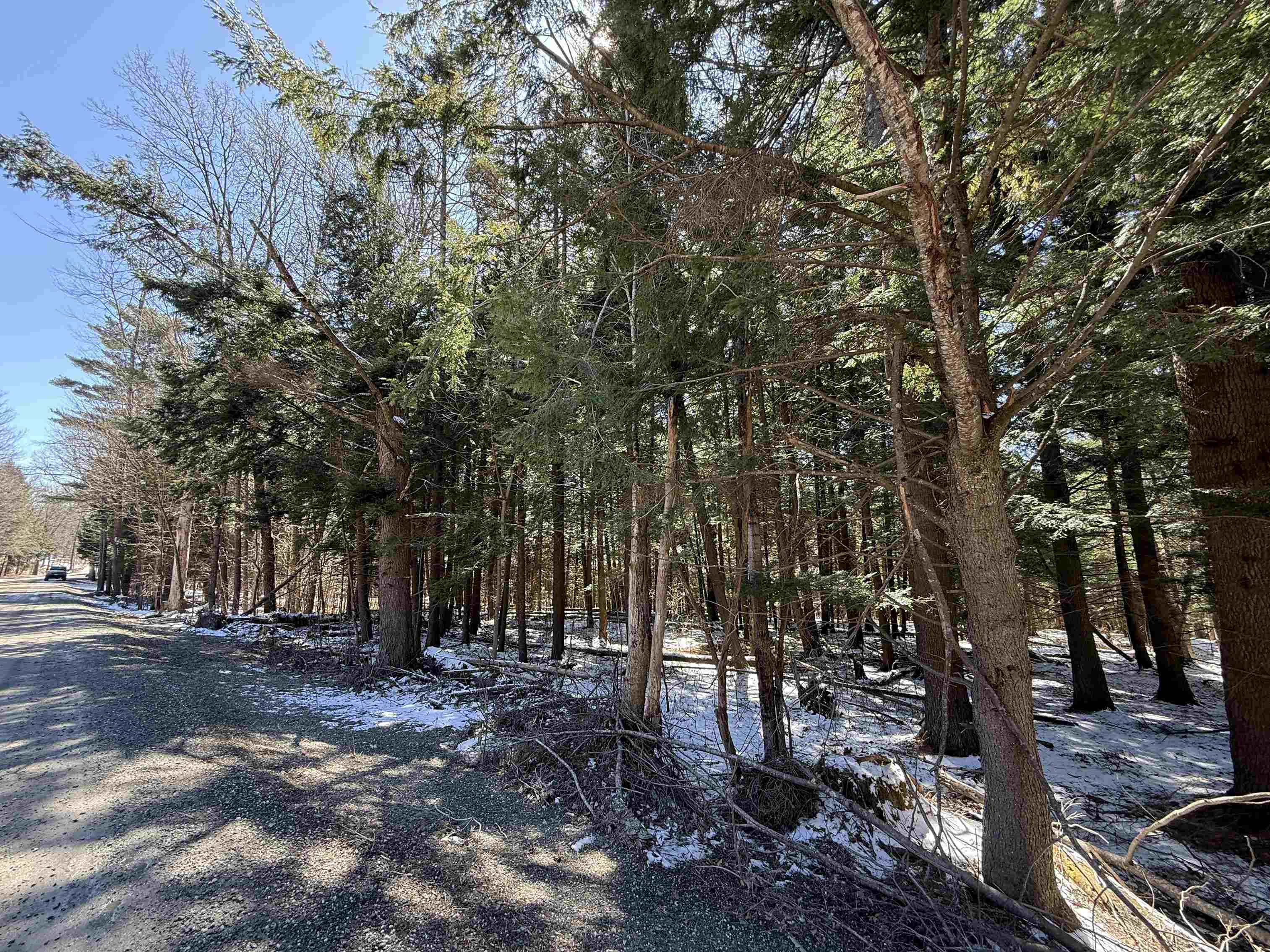 Tbd Plot Road Johnson, VT 05656 - Photo 18 of 24