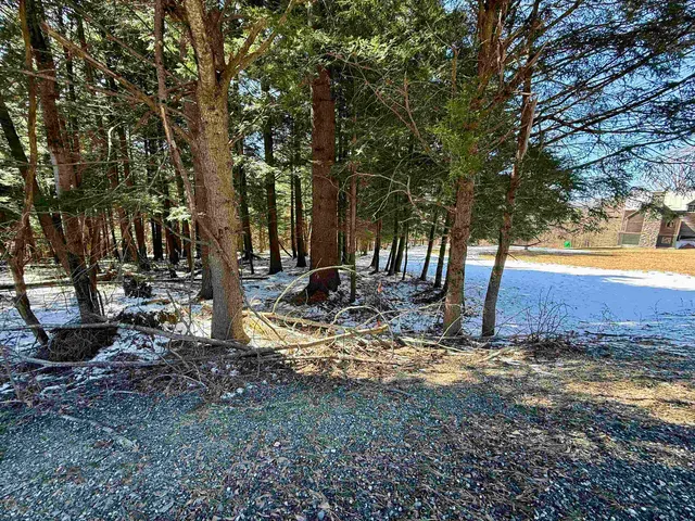 $95,000 | Tbd Plot Road, Johnson, VT 05656