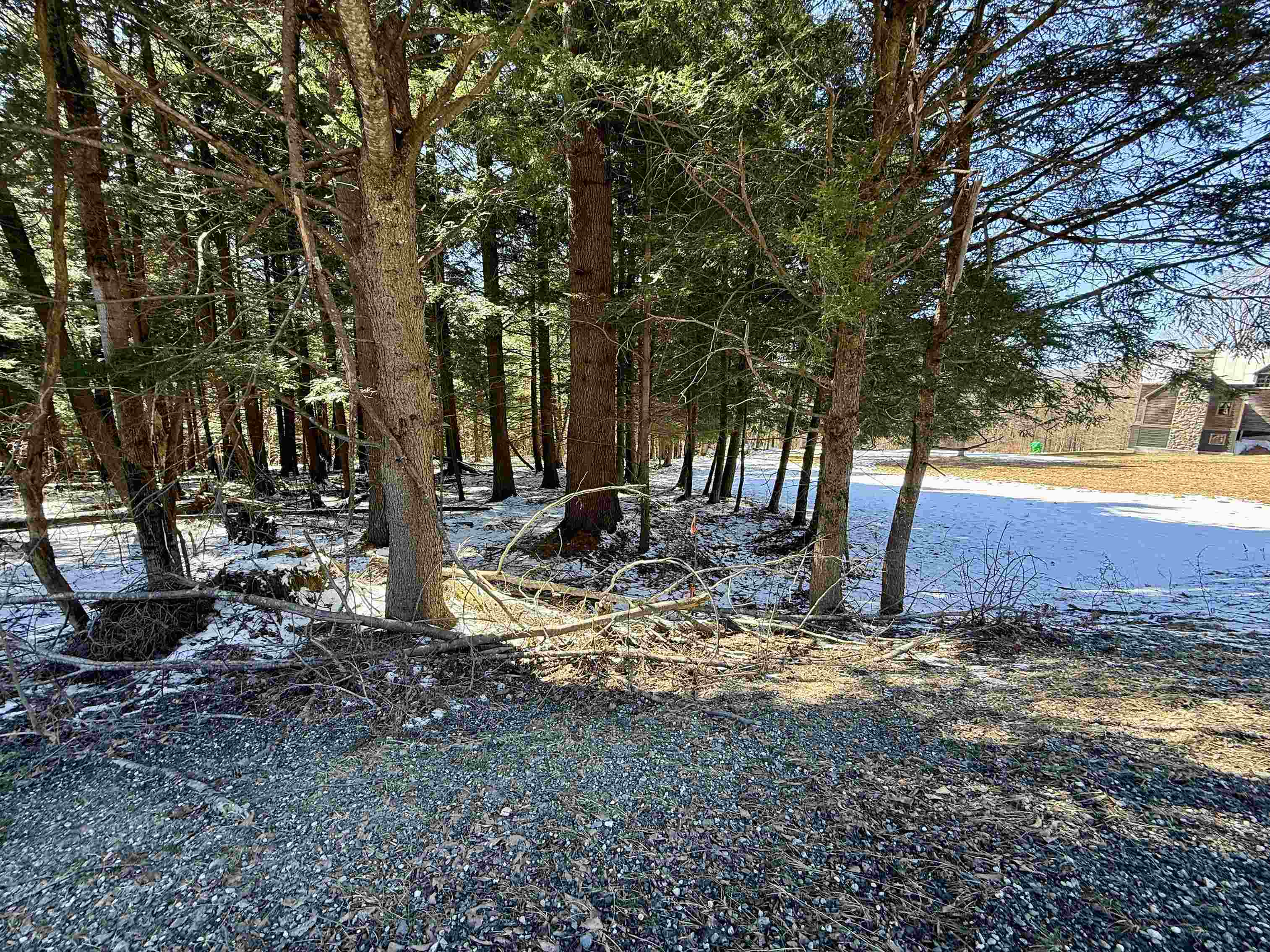 Tbd Plot Road Johnson, VT 05656 - Photo 20 of 24