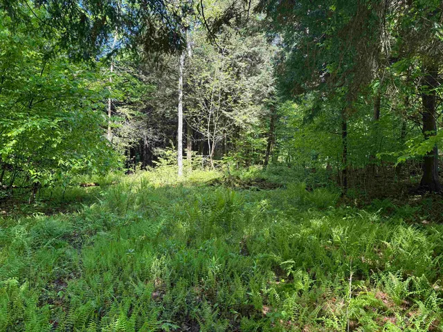 $95,000 | Tbd Plot Road, Johnson, VT 05656
