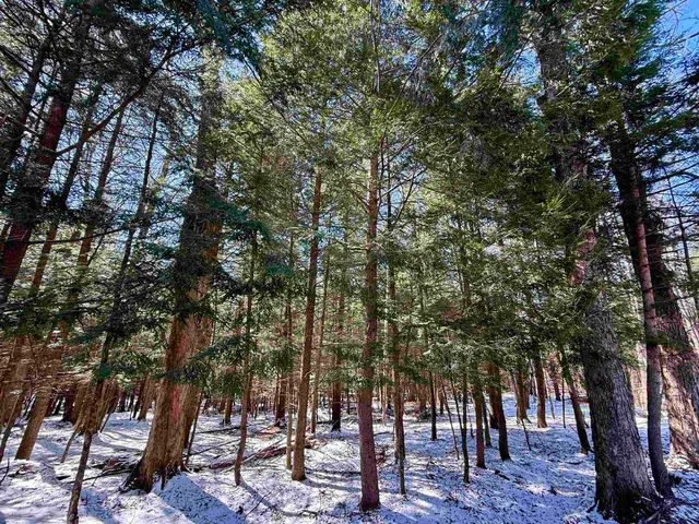 $95,000 | Tbd Plot Road, Johnson, VT 05656