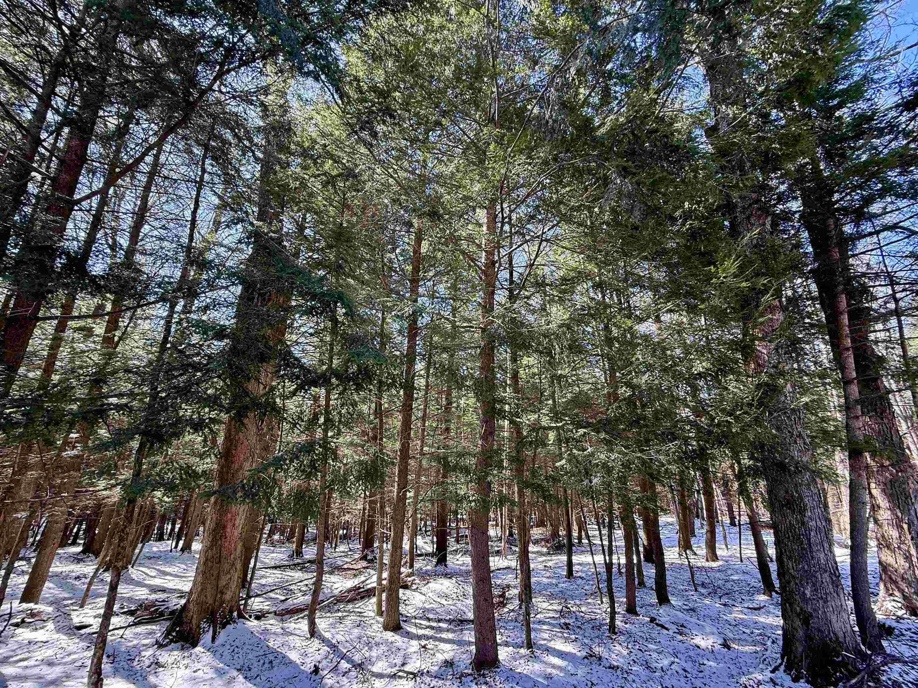 Tbd Plot Road Johnson, VT 05656 - Photo 21 of 24