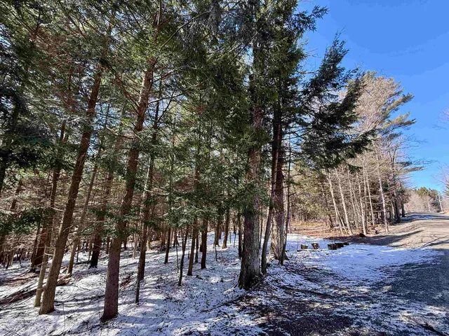 $95,000 | Tbd Plot Road, Johnson, VT 05656
