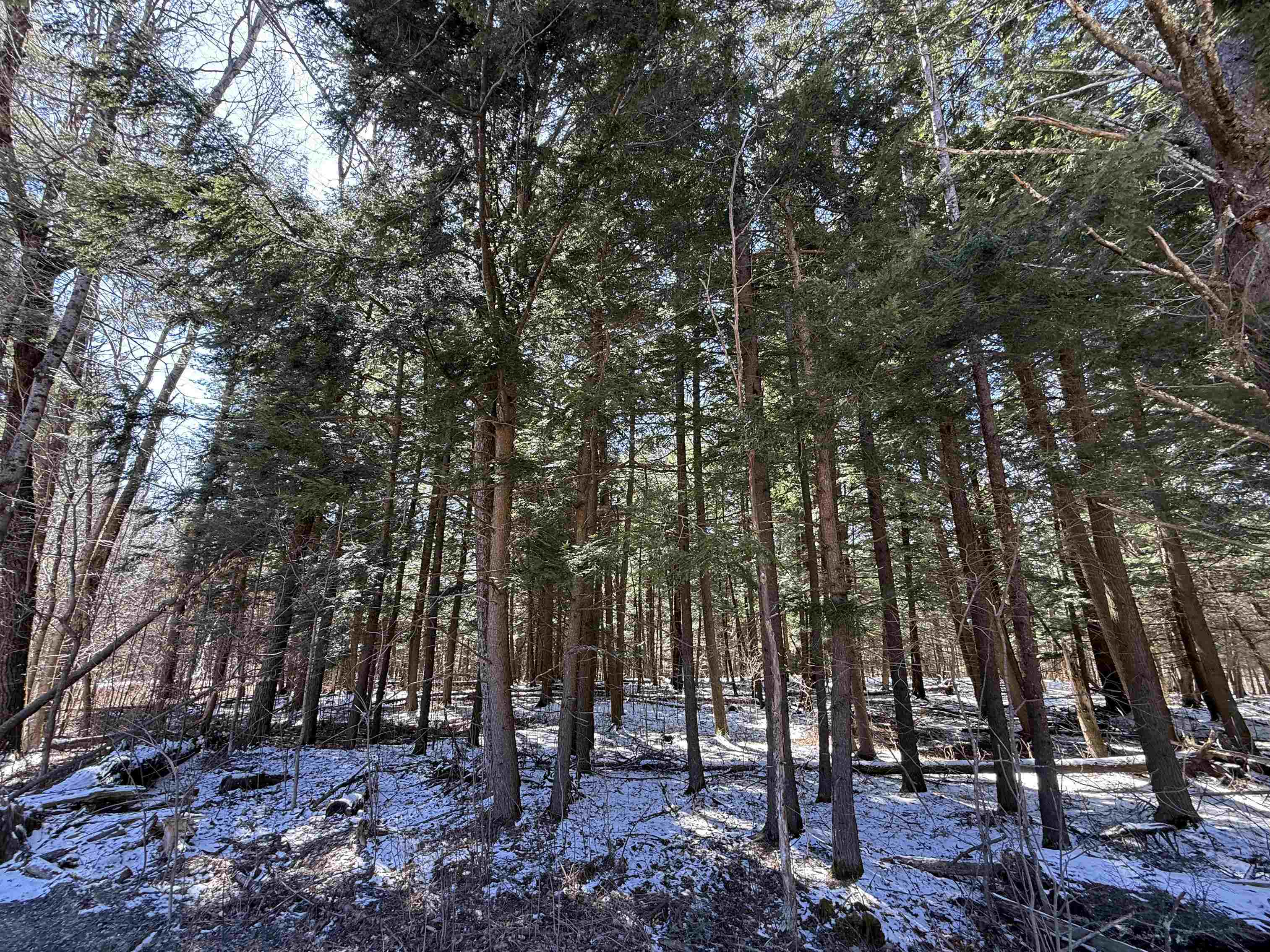 Tbd Plot Road Johnson, VT 05656 - Photo 23 of 24