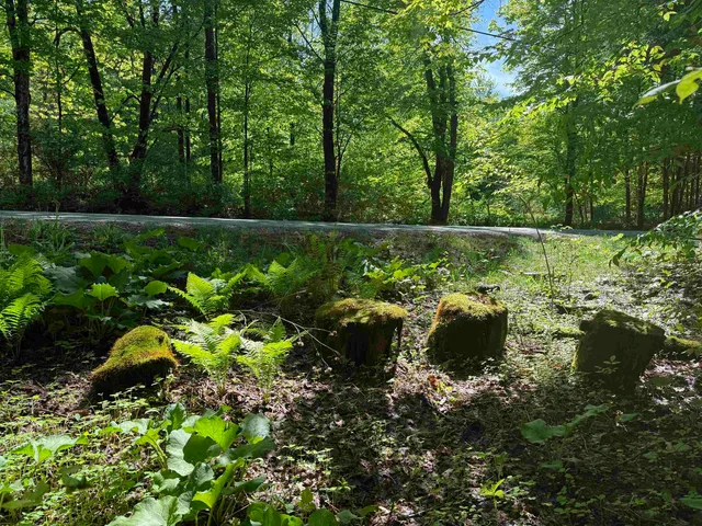 $95,000 | Tbd Plot Road, Johnson, VT 05656