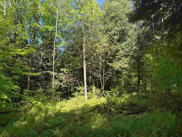 $95,000 | Tbd Plot Road, Johnson, VT 05656