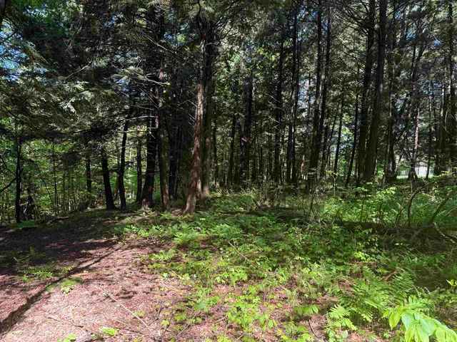 $95,000 | Tbd Plot Road, Johnson, VT 05656