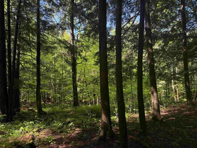 $95,000 | Tbd Plot Road, Johnson, VT 05656