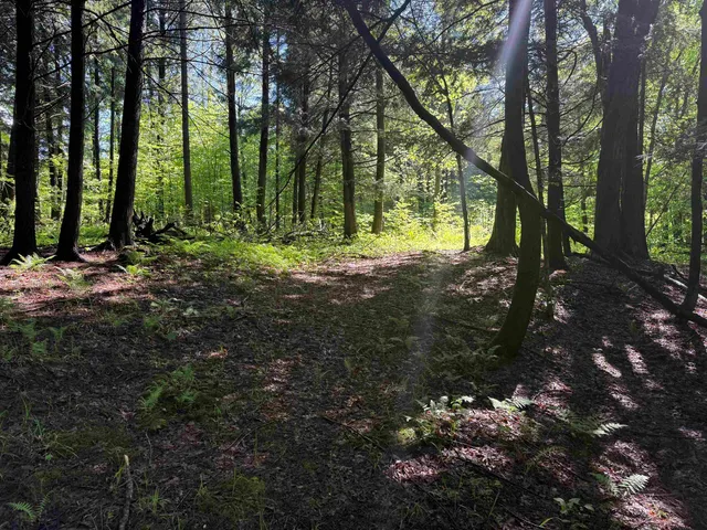 $95,000 | Tbd Plot Road, Johnson, VT 05656