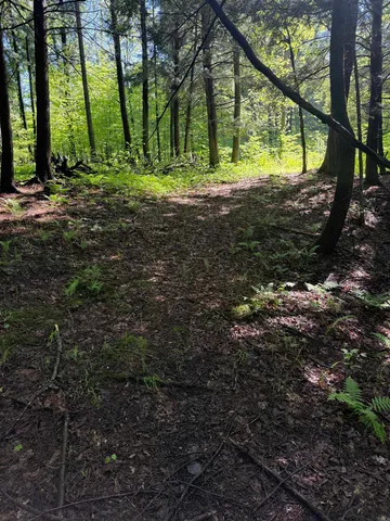 $95,000 | Tbd Plot Road, Johnson, VT 05656