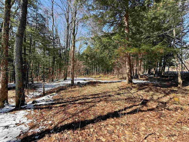 $95,000 | Tbd Plot Road, Johnson, VT 05656