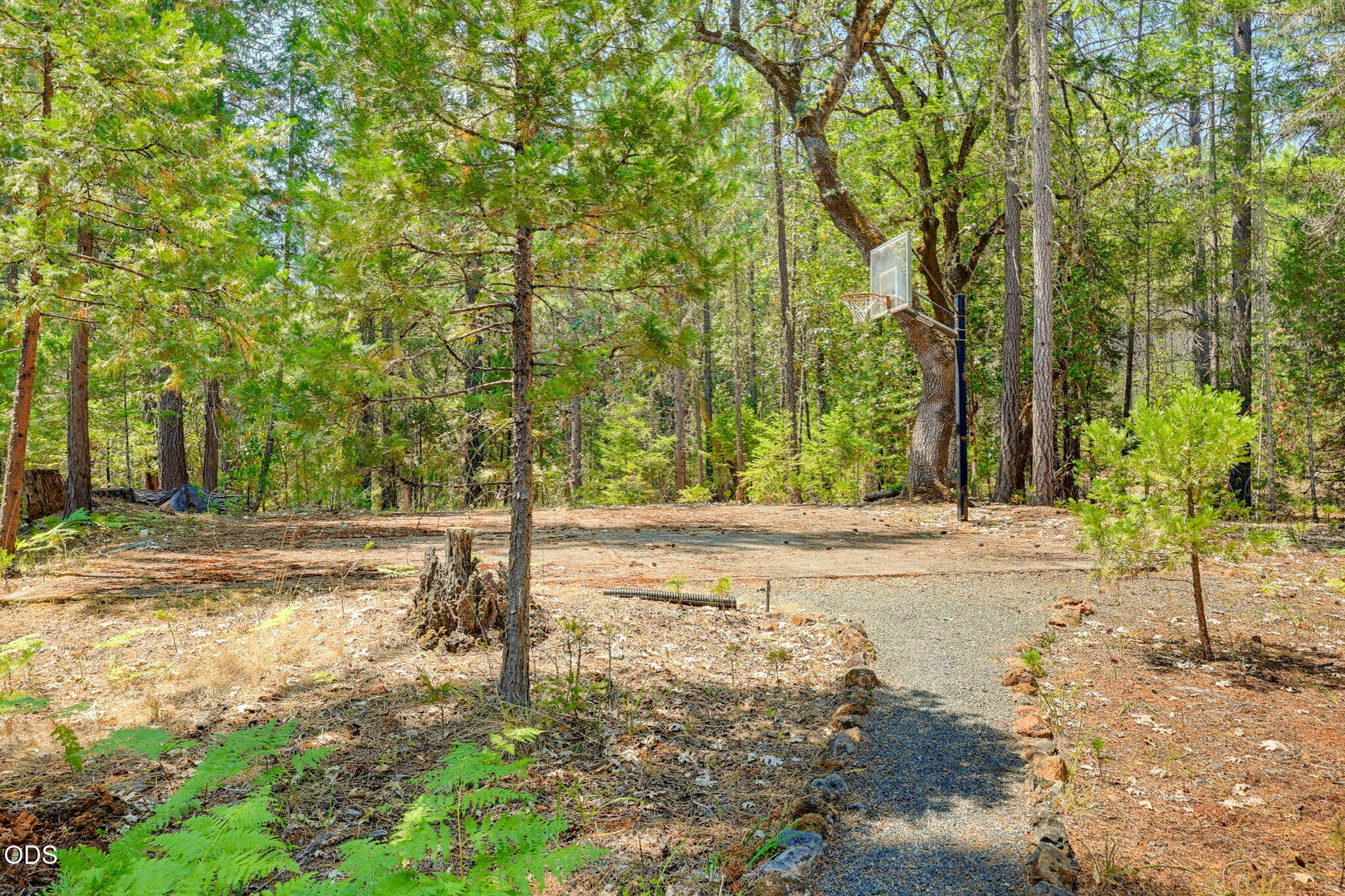 2280 Queens Branch Road Rogue River, OR 97537 - Photo 48 of 62