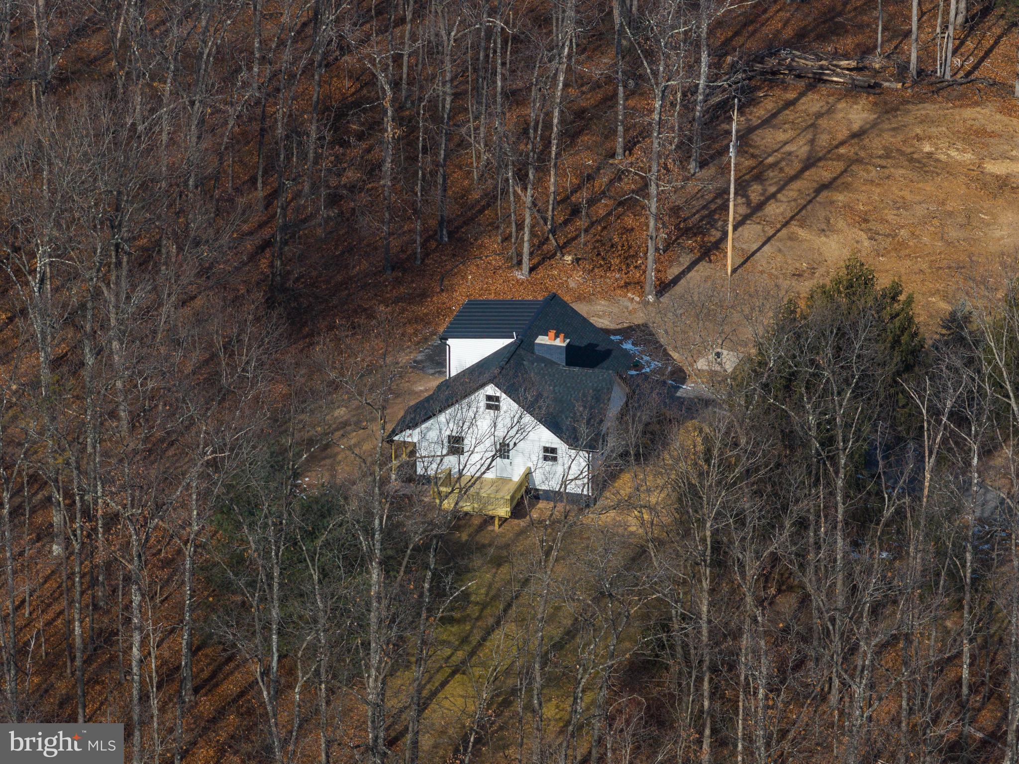 351 Ridgeview Road Gore, VA 22637 - Photo 9 of 31 a picture of a tree in a yard