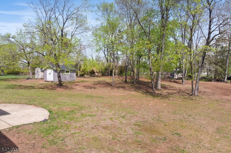 22 Hillcrest Road Hillsborough, NJ 08844 - Photo 26 of 35 a view of outdoor space with trees