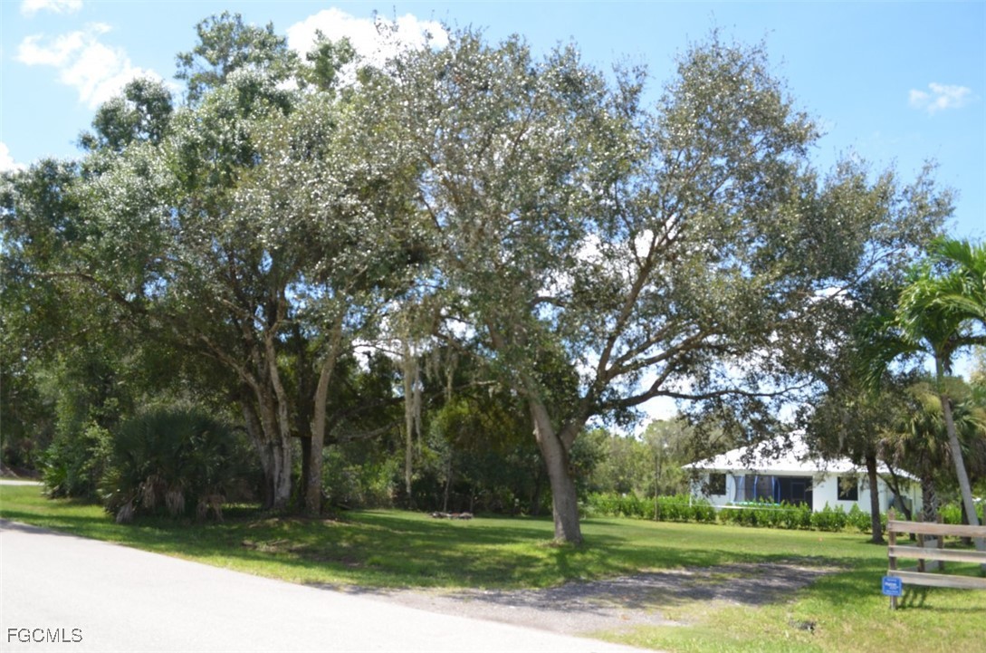 2400 Leavitt Road Alva, FL 33920 - Photo 5 of 26 a view of a park with large trees