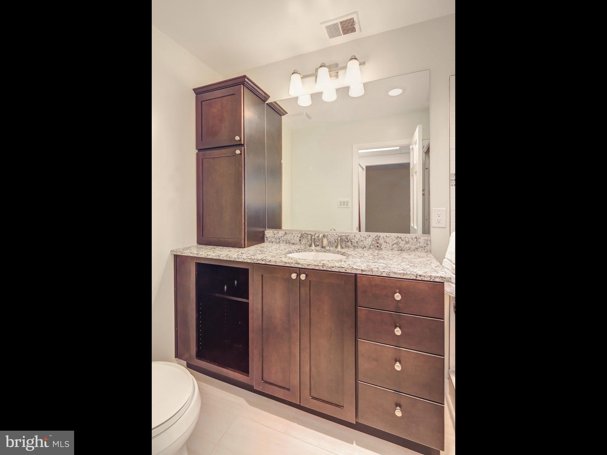 11185 Saffold Way Reston, VA 20190 - Photo 16 of 30 Bath (Master)