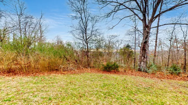 a view of backyard of a house