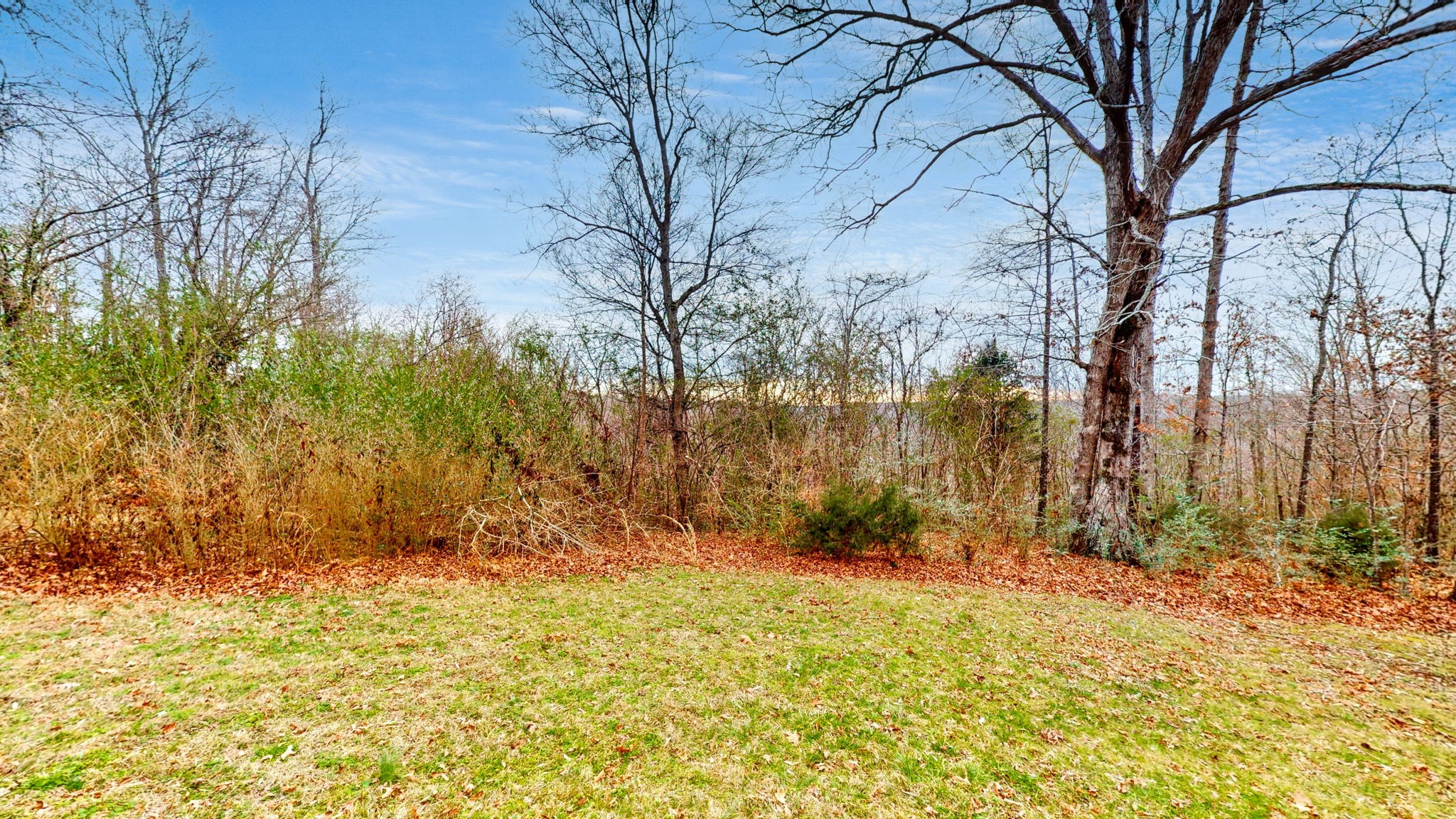 133 Wells Street Centerville, TN 37033 - Photo 21 of 25