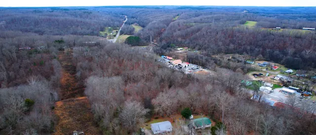 a view of a dry yard