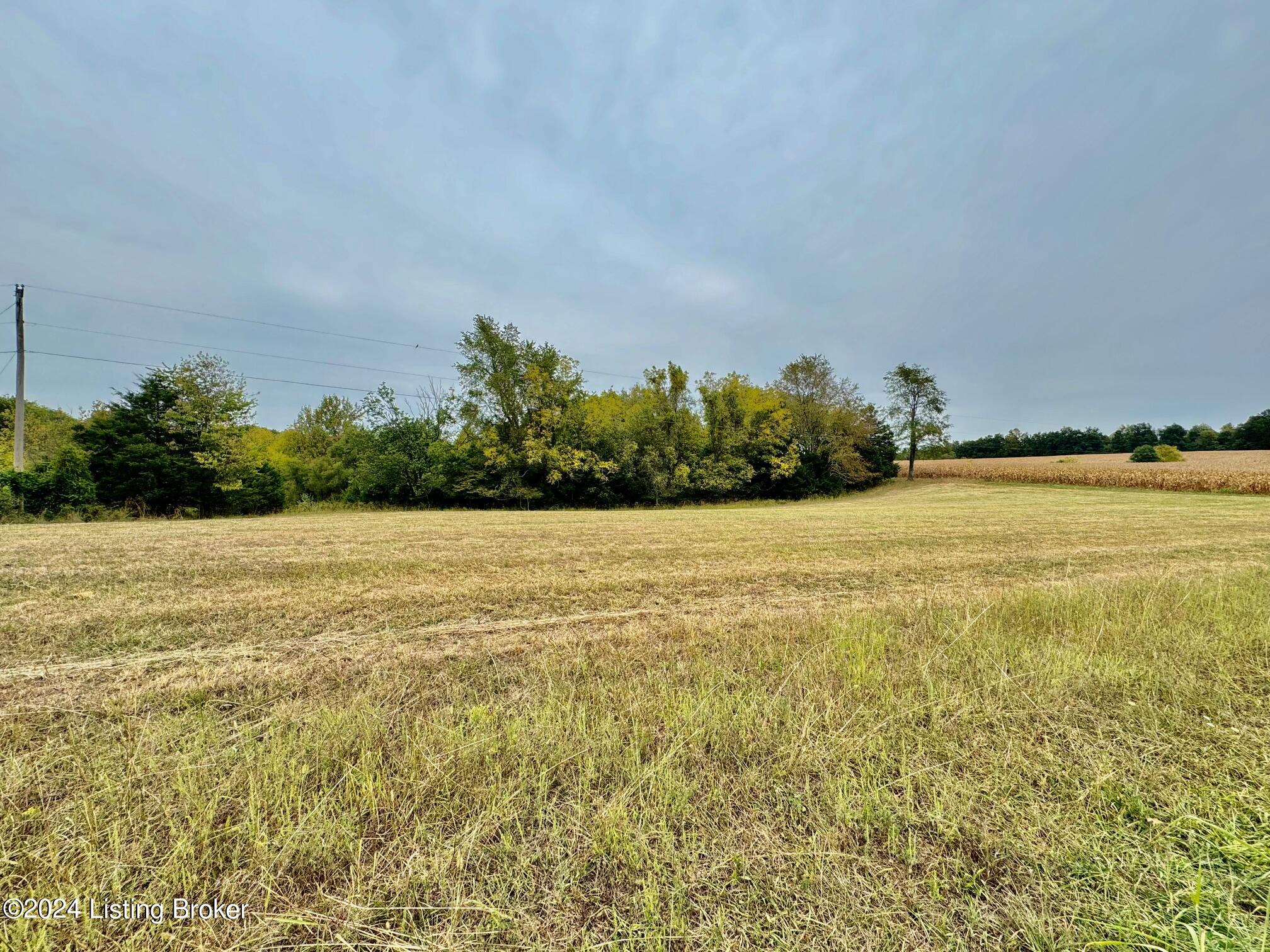 Tract#10 Tract Lane Springfield, KY 40069 - Photo 2 of 6 IMG_0212