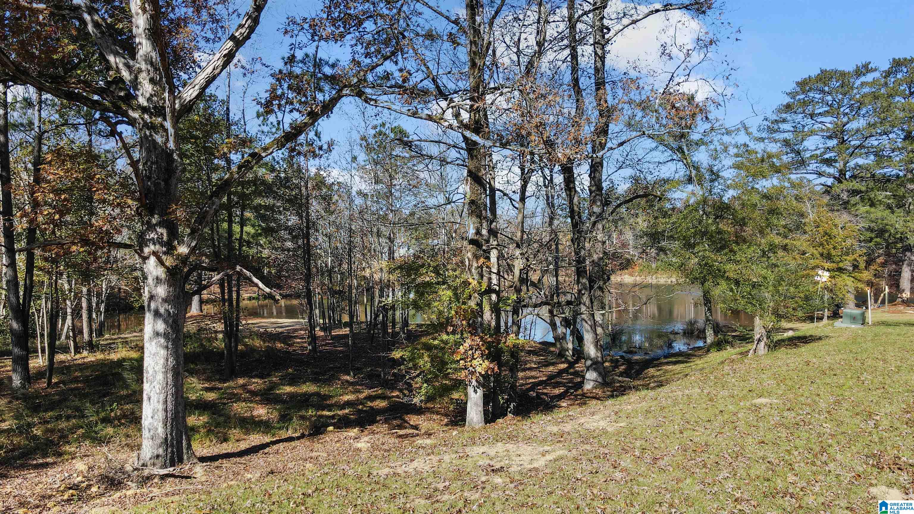 4500 Cabin Road Bessemer, AL 35022 - Photo 63 of 71