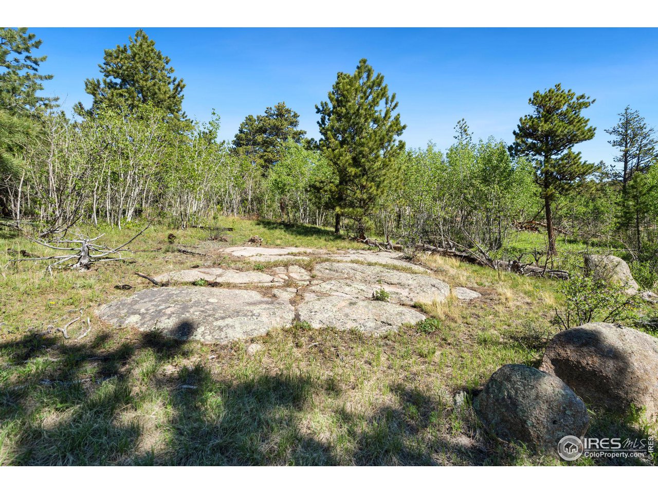 5625 North Rim Road Livermore, CO 80536 - Photo 20 of 23 Gallery Image 20