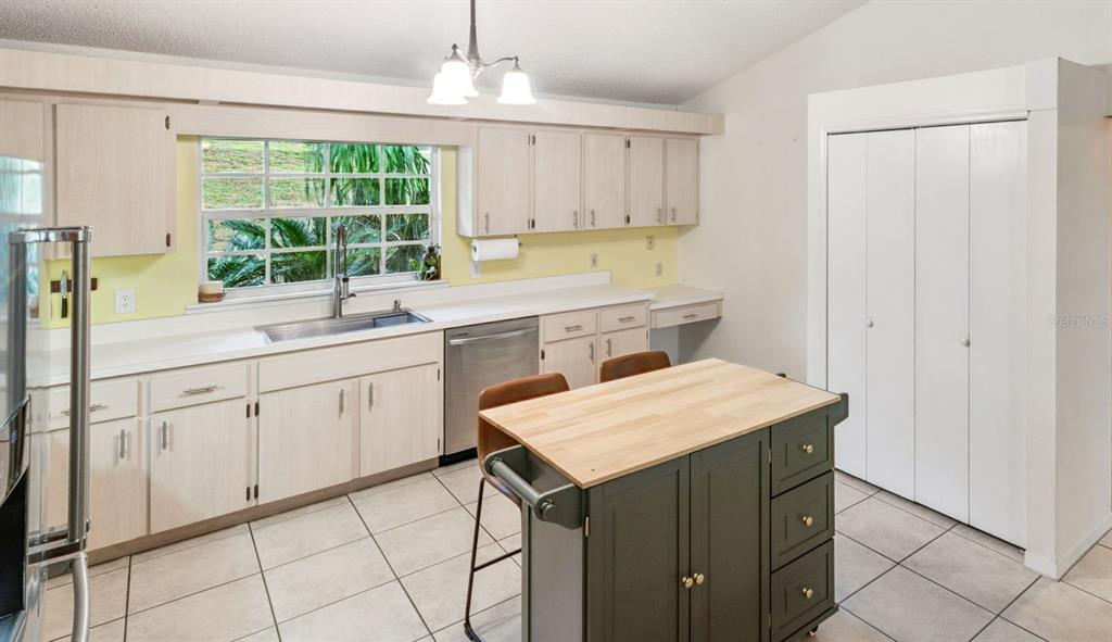 30911 Vista View Mount Dora, FL 32757 - Photo 19 of 54 a kitchen with a sink a window and cabinets