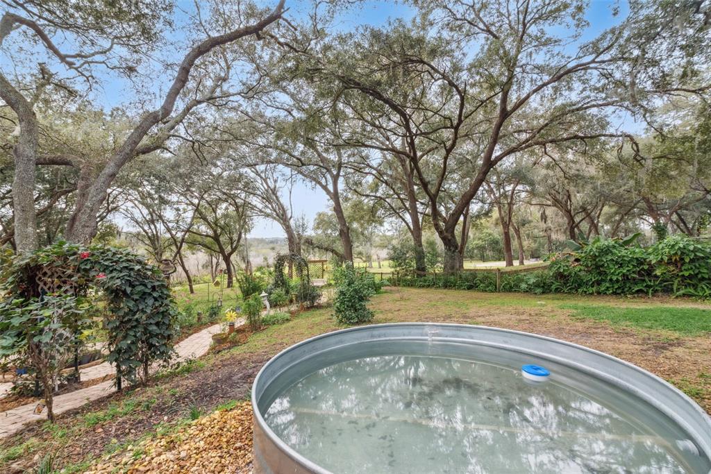 30911 Vista View Mount Dora, FL 32757 - Photo 33 of 54 a view of a backyard