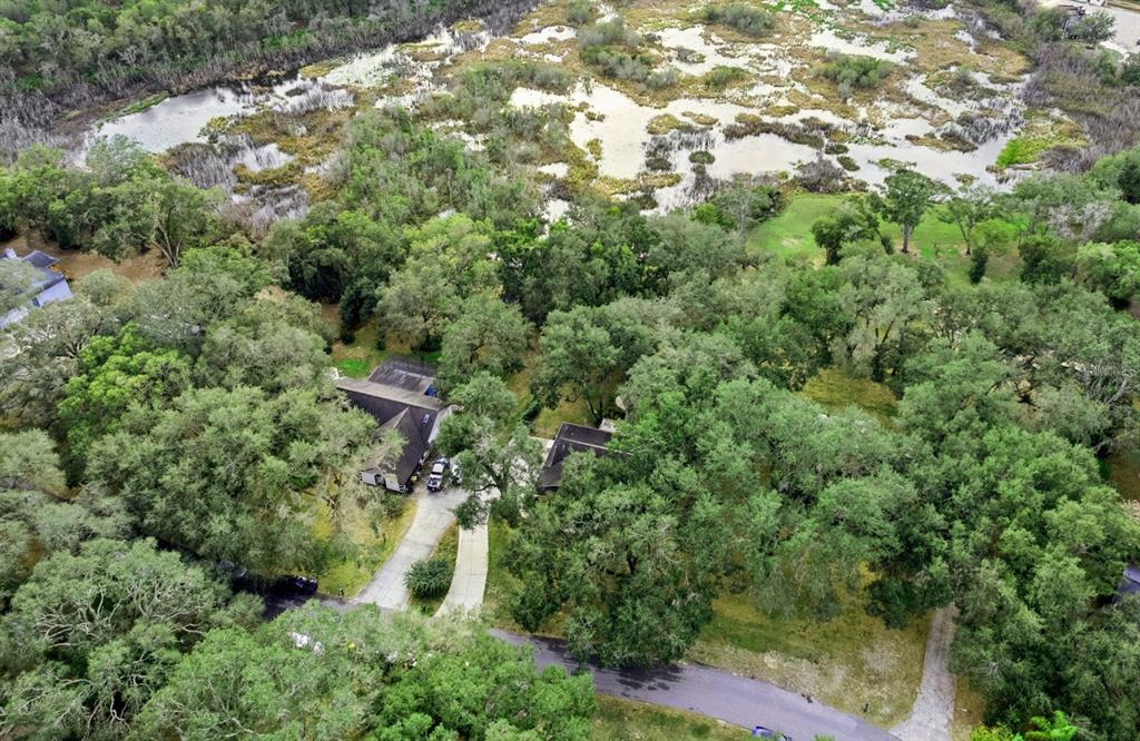 30911 Vista View Mount Dora, FL 32757 - Photo 38 of 54 an aerial view of residential house with outdoor space and trees all around