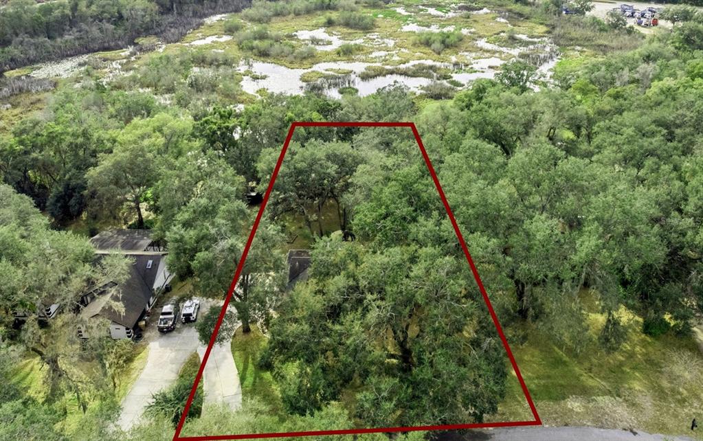 30911 Vista View Mount Dora, FL 32757 - Photo 39 of 54 a view of a yard