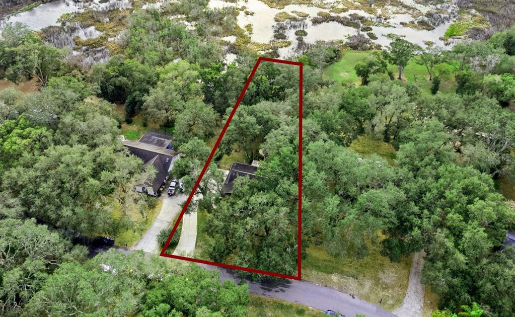 30911 Vista View Mount Dora, FL 32757 - Photo 40 of 54 an aerial view of forest