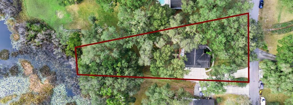 30911 Vista View Mount Dora, FL 32757 - Photo 41 of 54 a view of a yard