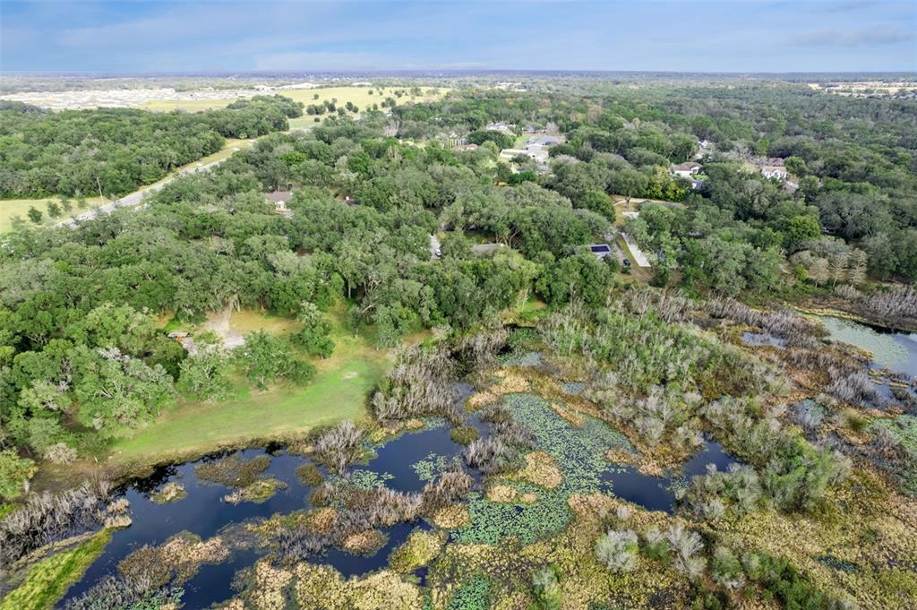 30911 Vista View Mount Dora, FL 32757 - Photo 43 of 54 a view of a field with an outdoor space